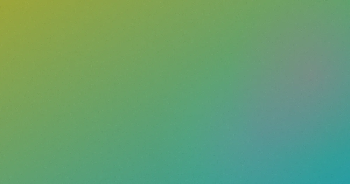 廖三民推荐：新手这样看